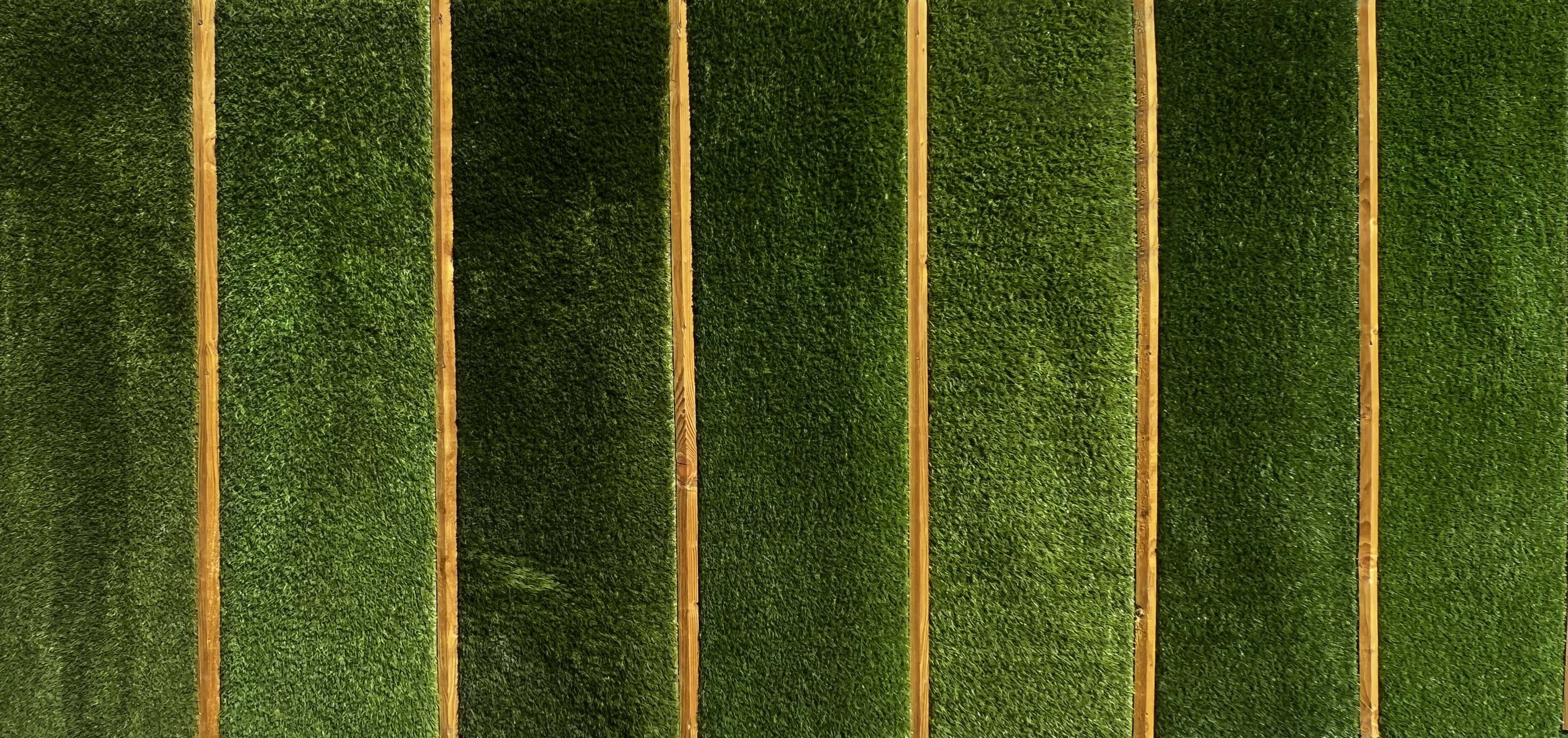 Artificial Grass